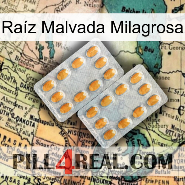 Raíz Malvada Milagrosa cialis4.jpg